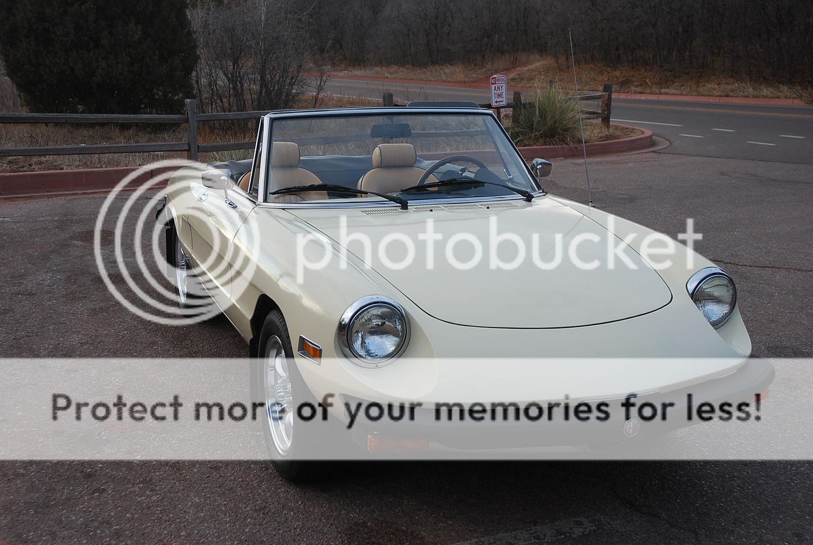 For Sale 1977 Alfa Romeo Spider Veloce in Colorado Alfa Romeo Forums